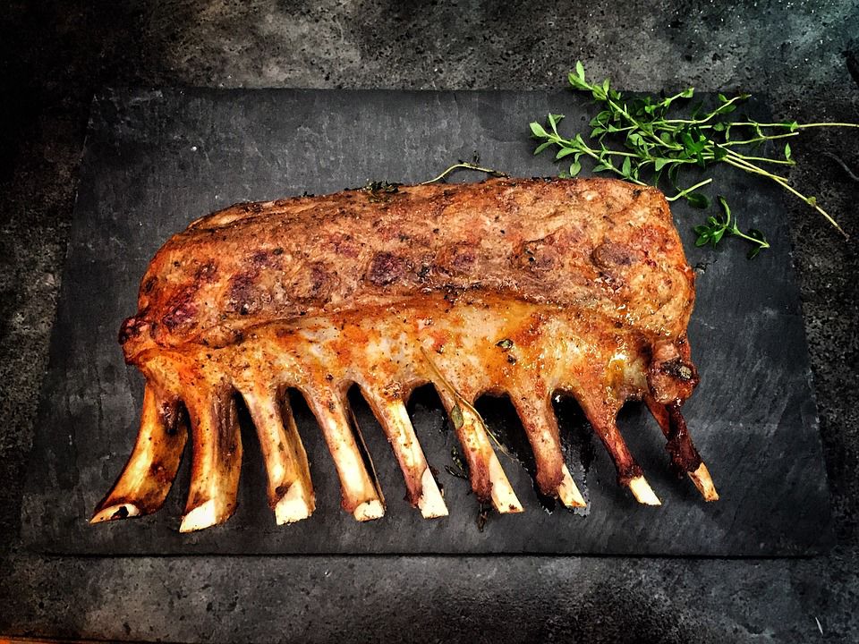 Ribs Photo